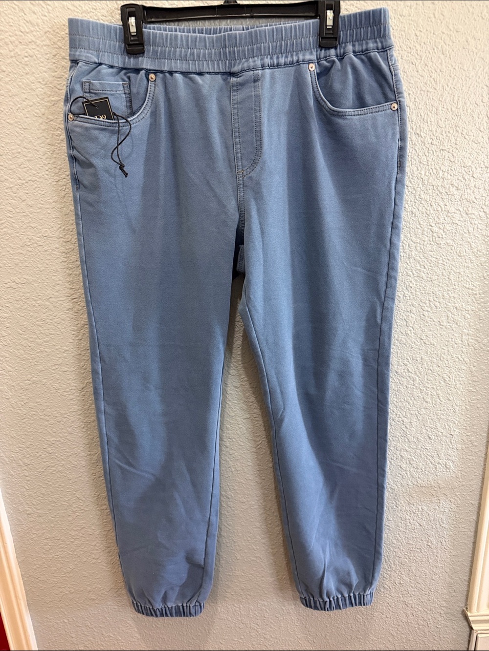 Diana Gilman Light Blue Jogger Pants size XL